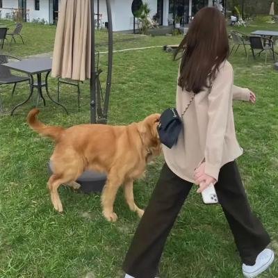 穿梭鬼门关