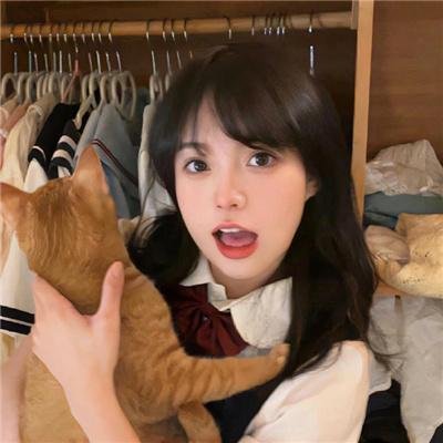 天网狼蛛